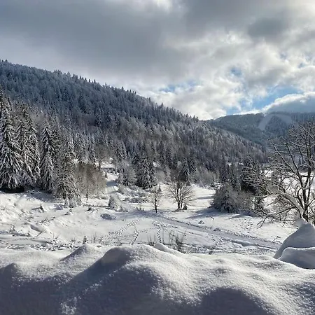 De Maman, Jacuzzi & Hammam Prive Apartment La Bresse
